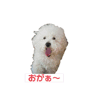ぼくゴロー2（個別スタンプ：38）