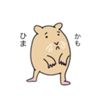 〜坊〜ハムスターの日常（個別スタンプ：1）