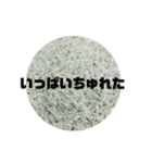 岩屋弁-ソフト編-（個別スタンプ：2）