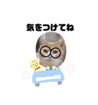 ワンニャンニャンのメッセージ（個別スタンプ：20）
