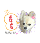 ♡ひなちゃん♡スタンプ（個別スタンプ：1）