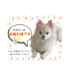 ♡ひなちゃん♡スタンプ（個別スタンプ：4）