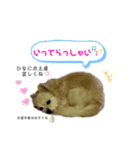 ♡ひなちゃん♡スタンプ（個別スタンプ：8）