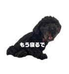 毎日ハッピーラッキー♡（個別スタンプ：4）