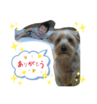 こいゆな（個別スタンプ：5）