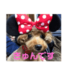亀のくうちゃん（個別スタンプ：5）