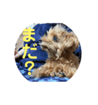 亀のくうちゃん（個別スタンプ：10）