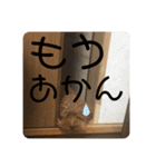 亀のくうちゃん（個別スタンプ：22）