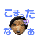 亀のくうちゃん（個別スタンプ：25）
