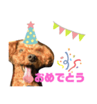 亀のくうちゃん（個別スタンプ：30）