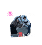 仲良しなのかな5人組（個別スタンプ：11）