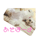 虎鉄と娘雪のスタンプっ！（個別スタンプ：6）