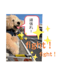 虎鉄と娘雪のスタンプっ！（個別スタンプ：11）