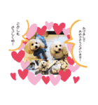 虎鉄と娘雪のスタンプっ！（個別スタンプ：16）