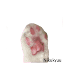 ひまにゃん10（個別スタンプ：9）
