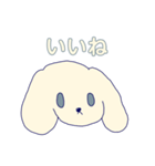 しろいいぬだよ（個別スタンプ：5）