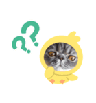 tororo背景スタンプ（個別スタンプ：4）