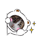 tororo背景スタンプ（個別スタンプ：7）