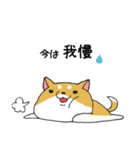 コロナ禍の柴犬（個別スタンプ：4）