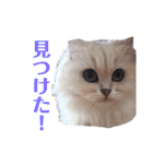 心縁9（個別スタンプ：24）