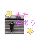 心縁9（個別スタンプ：31）