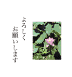 心縁9（個別スタンプ：38）