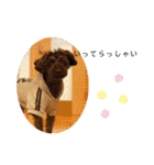 心縁8（個別スタンプ：3）