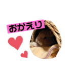 心縁8（個別スタンプ：5）