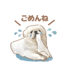 たぴちゃんスタンプ第2弾（個別スタンプ：2）