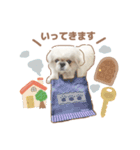 たぴちゃんスタンプ第2弾（個別スタンプ：9）