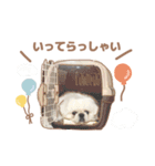 たぴちゃんスタンプ第2弾（個別スタンプ：10）