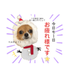 ☆ベル君☆スタンプ（個別スタンプ：4）