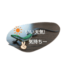 爬虫類 両生類 スタンプ 大量（個別スタンプ：1）