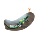 爬虫類 両生類 スタンプ 大量（個別スタンプ：2）