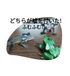 爬虫類 両生類 スタンプ 大量（個別スタンプ：9）