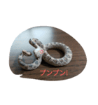 爬虫類 両生類 スタンプ 大量（個別スタンプ：17）