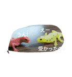 爬虫類 両生類 スタンプ 大量（個別スタンプ：18）