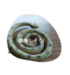 爬虫類 両生類 スタンプ 大量（個別スタンプ：21）