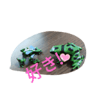 爬虫類 両生類 スタンプ 大量（個別スタンプ：24）