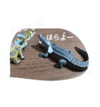 爬虫類 両生類 スタンプ 大量（個別スタンプ：28）