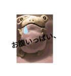 爬虫類 両生類 スタンプ 大量（個別スタンプ：36）