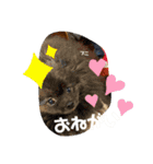 笑の楽屋フレンズ（個別スタンプ：4）