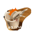 笑の楽屋フレンズ（個別スタンプ：7）
