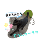 笑の楽屋フレンズ（個別スタンプ：15）