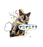 笑の楽屋フレンズ（個別スタンプ：17）