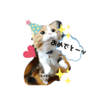 笑の楽屋フレンズ（個別スタンプ：18）