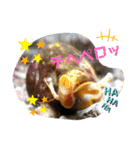 笑の楽屋フレンズ（個別スタンプ：19）