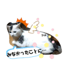 笑の楽屋フレンズ（個別スタンプ：21）