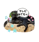 笑の楽屋フレンズ（個別スタンプ：22）