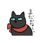 甘えん坊な？黒猫さん。（個別スタンプ：9）